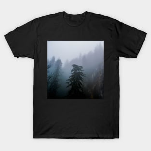 Pine Trees In A Forest Sticker T-Shirt